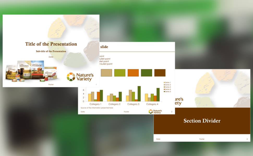 powerpoint charting services